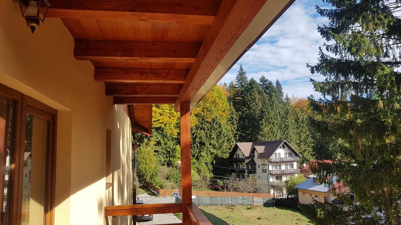 Apartament Lexannona Busteni Exterior photo