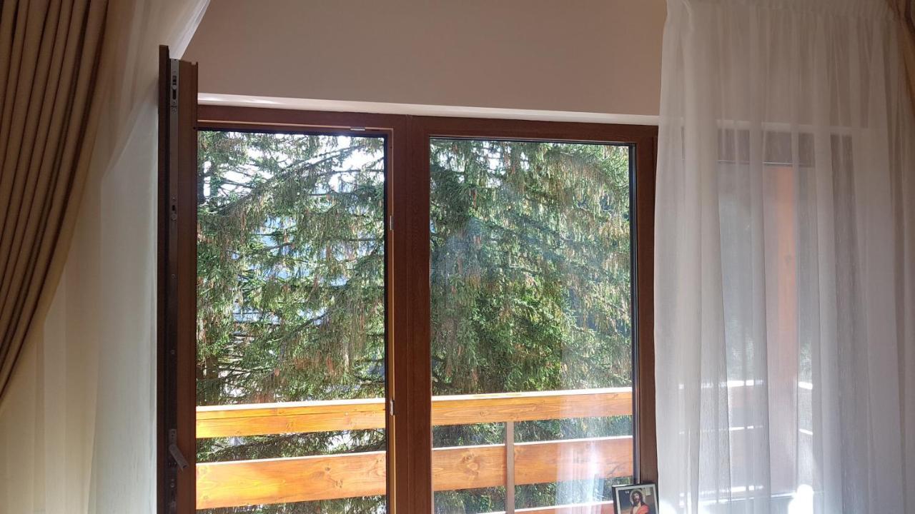 Apartament Lexannona Busteni Exterior photo